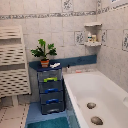 アパート Spacieux A Avec Vue Sur Jardin, 100 M² インガースハイム