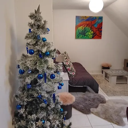 Spacieux A Avec Vue Sur Jardin, 100 M² * インガースハイム