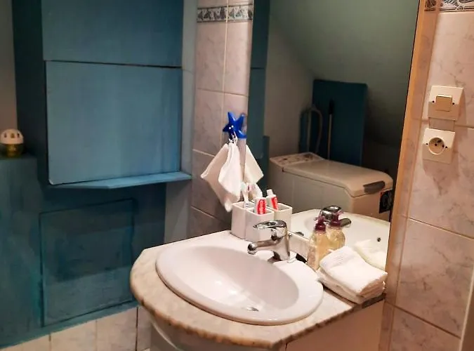 De 2 Avec Jardin Amenage A * Ingersheim