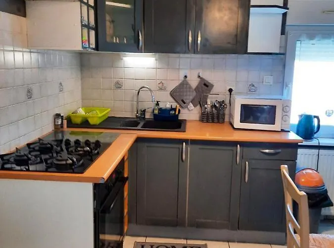 Appartement De 2 Avec Jardin Amenage A Ingersheim