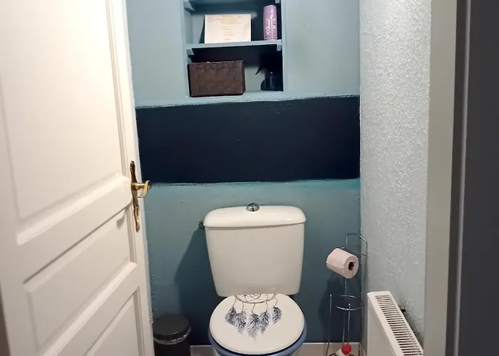 De 2 Avec Jardin Amenage A Appartement Ingersheim